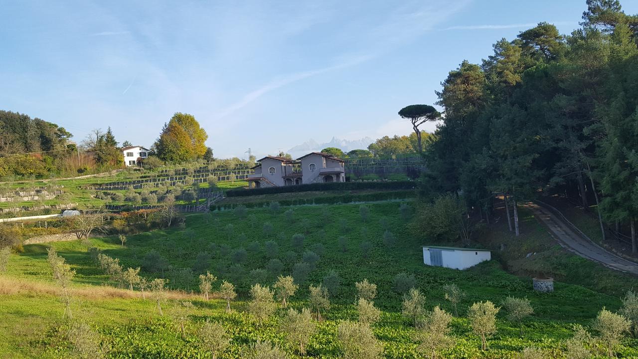 B&B Podere Montese فيلافرانكا إن لونيجيانا المظهر الخارجي الصورة