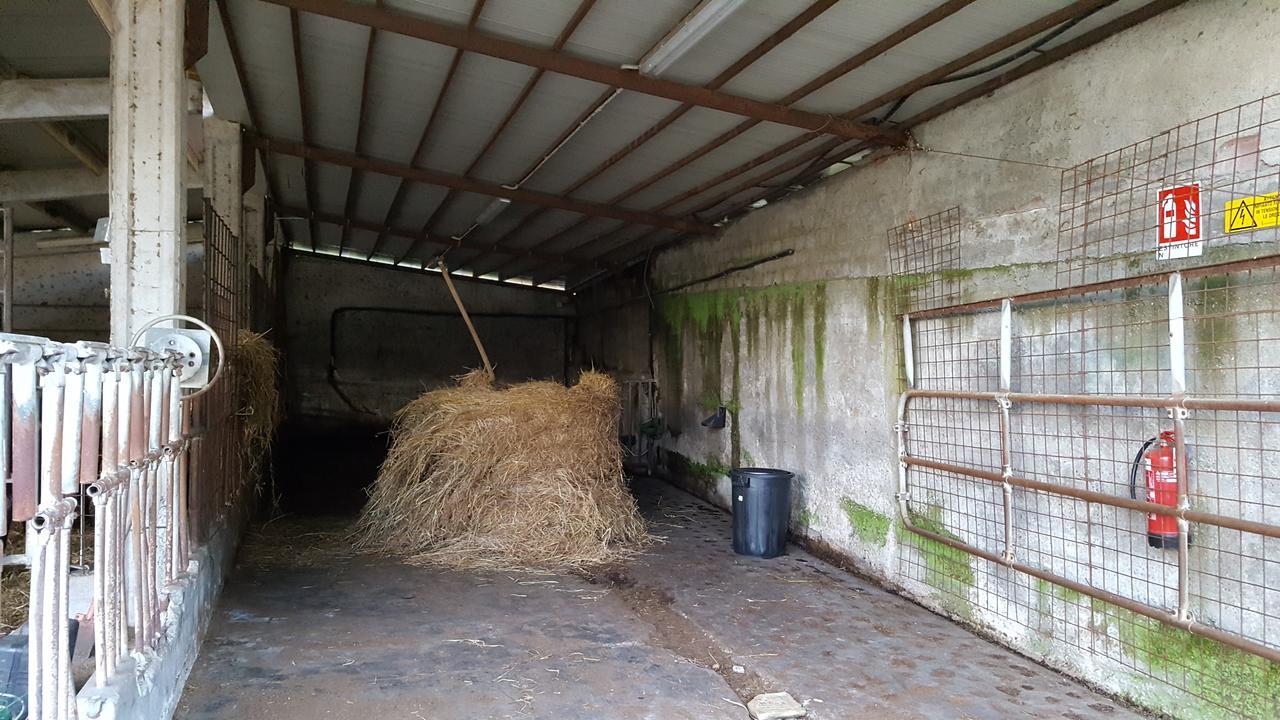B&B Podere Montese فيلافرانكا إن لونيجيانا المظهر الخارجي الصورة