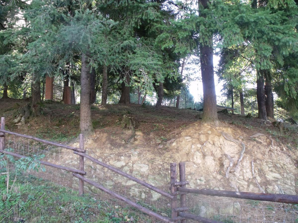 B&B Podere Montese فيلافرانكا إن لونيجيانا المظهر الخارجي الصورة