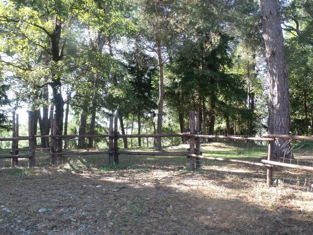 B&B Podere Montese فيلافرانكا إن لونيجيانا المظهر الخارجي الصورة