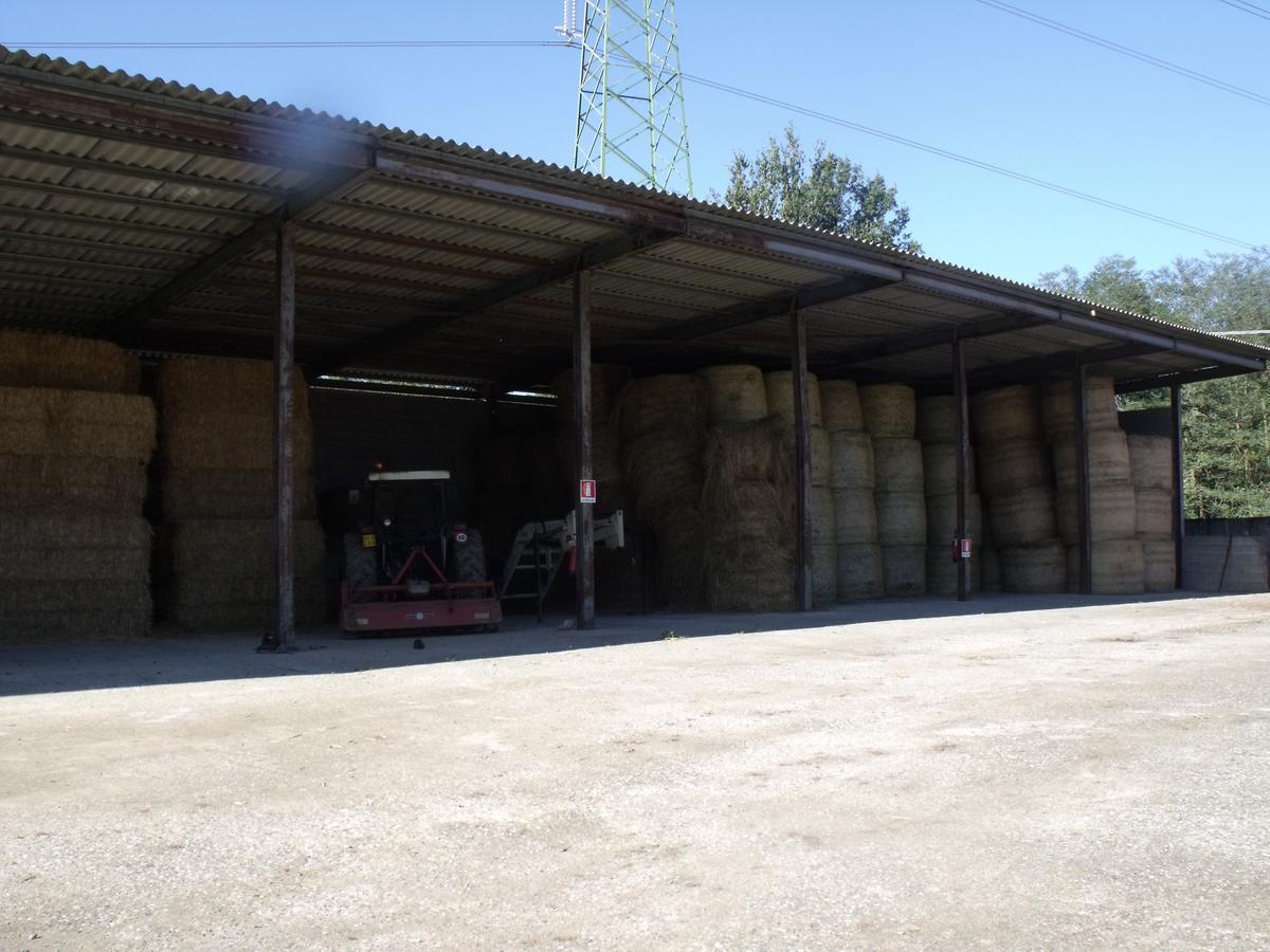 B&B Podere Montese فيلافرانكا إن لونيجيانا المظهر الخارجي الصورة