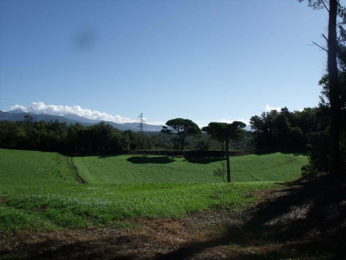 B&B Podere Montese فيلافرانكا إن لونيجيانا المظهر الخارجي الصورة