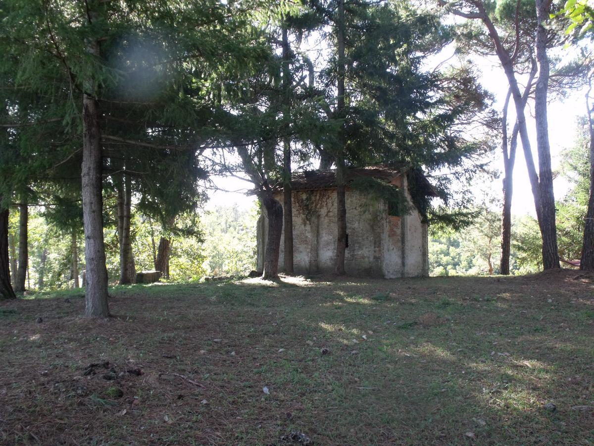 B&B Podere Montese فيلافرانكا إن لونيجيانا المظهر الخارجي الصورة